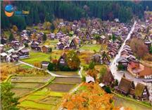 [HCM] Tour Nhật Bản Mùa Thu 2026: Cung Đường Làng Cổ Shirakawago